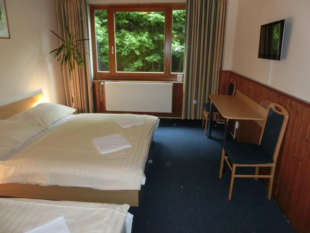 Parkhotel Harrachov Cameră foto